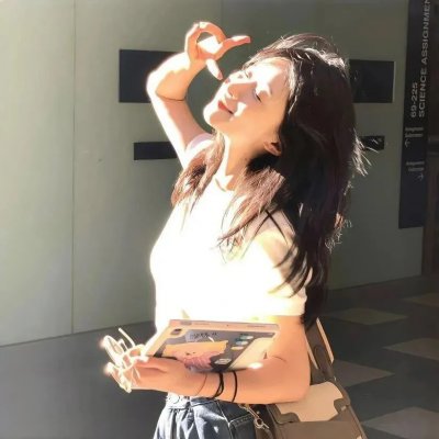 诚实国度的爱丽丝